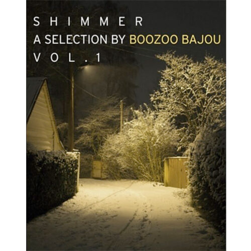 MUSIC BOOZOO BAJOU Modern Lounge Music